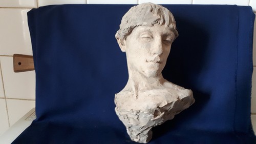 Buste jeune homme terre cuite - buste,