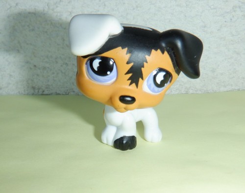 Littlest pet shop - shop, chien