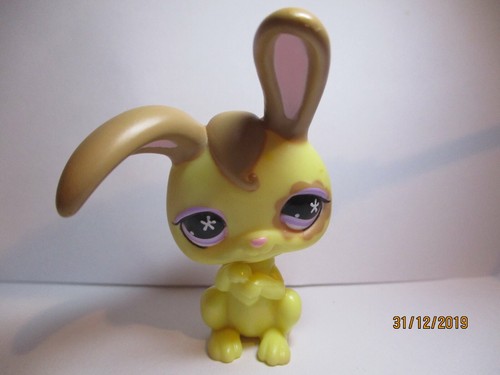 Petshop lapin garenne - de,