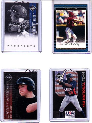 2011 leaf limited 21 - 2011,