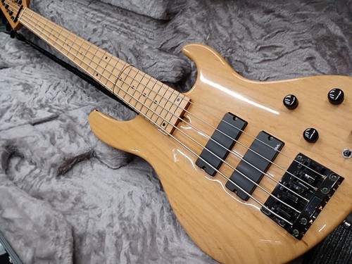 Guitare basse électrique