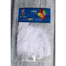 20 Plumes Blanches Droites 10cm pour Décoration Fête Soirées Polyester & Coton