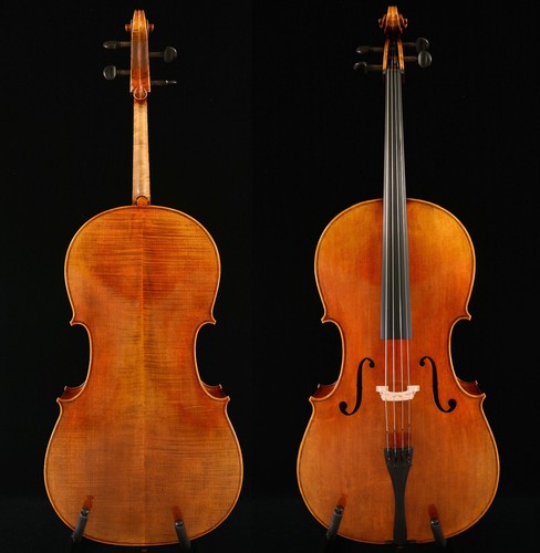 Violoncelle pro level 4 - pro,