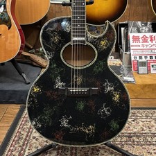 Washburn Woodstock (Paul