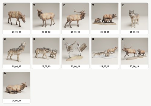 Animaux amérique nord - animaux,