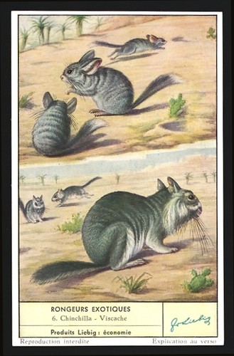 Image collection liebig - de,