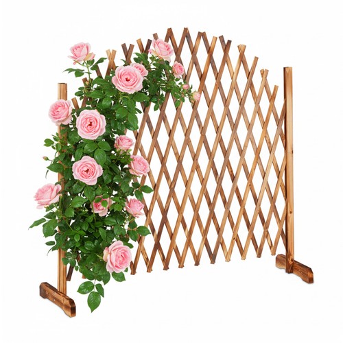 Treillis bois extensible - en,