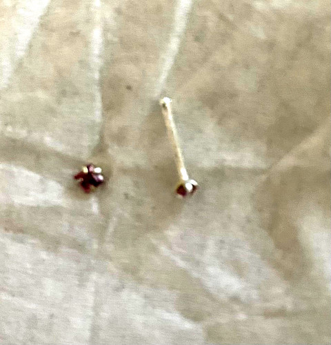 Piercing droit nez brillant - nez,