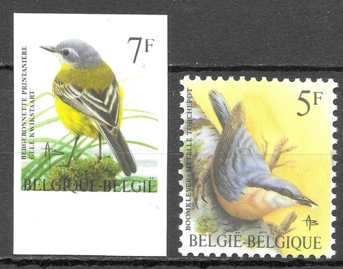 Belgique oiseaux bergeronnette - belgique,