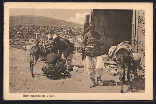 Carte postale veles - postale,