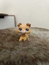 LPS AUTHENTIC BORDER COLLIE