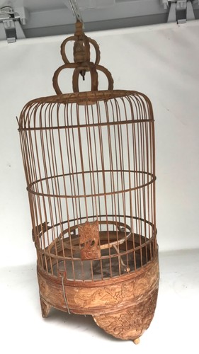Cage oiseaux