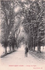 94 BOISSY SAINT LEGER AVENUE DU POPLIER