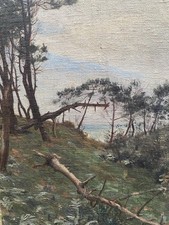 Paysage des Landes Pins