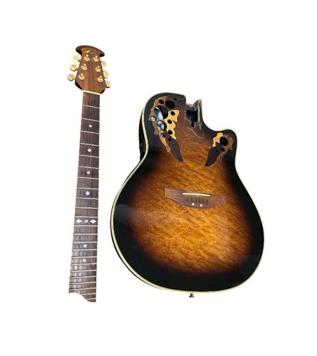 Guitare électrique acoustique