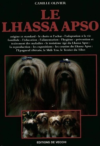 Lhassa apso camille - apso,