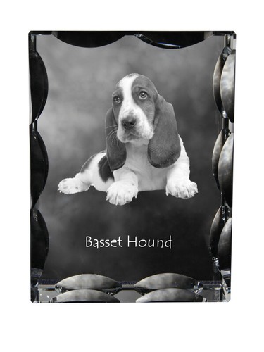 Basset hound cristal avec - hound,