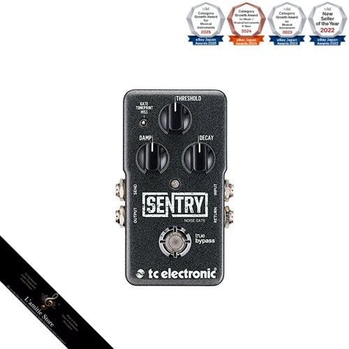 Electronic noise gate - tc,
