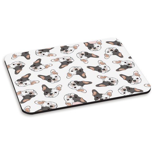 Bouledogue français blanc - bouledogue,