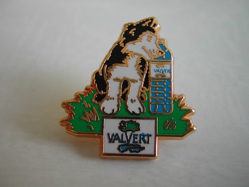 Rare pin eau bouteille - eau,