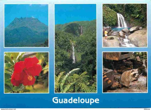 Postcard guadeloupe - -,