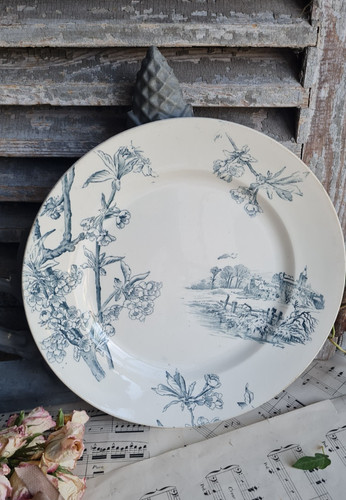 Ancien plat rond terre - terre, de