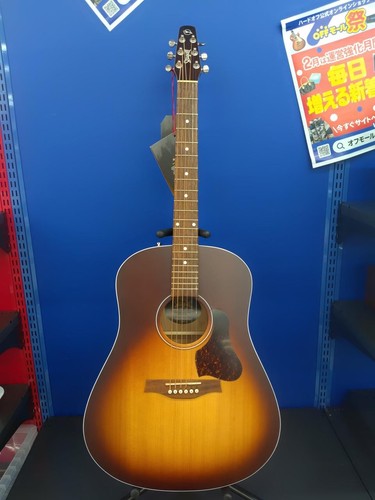 Guitare acoustique seagull - guitare,