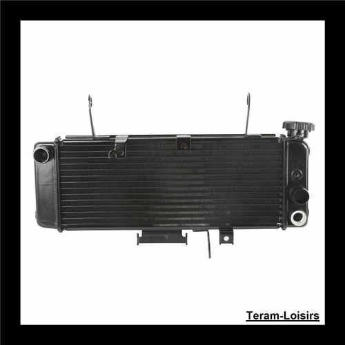 Radiateur pour suzuki sv650 - radiateur,