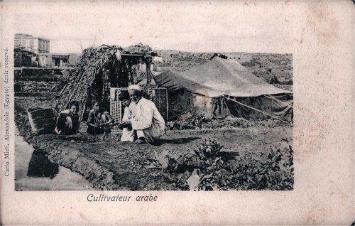 Cpa alexandrie - (Égypte),