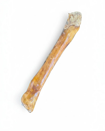 Friandise pour chien peau - friandise, de