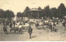 BELGIQUE #28365 CINEY LA PLACE