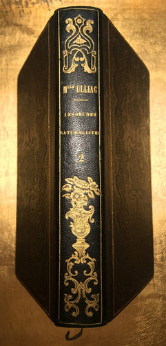 1841 histoire naturelle - histoire,
