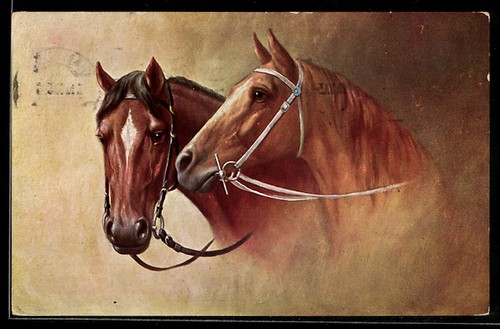 Carte postale deux - , chevaux