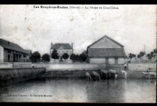 LES BRUYERES-RADON (58) BOVINS À L'ABRUVOIR / FARM du GROS CHENE animated in 1919