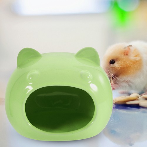 Cachette hamsters - cachette,
