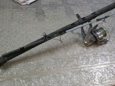 BELLE CANNE MIXTE CAPERLAN