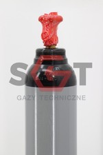 Bouteille d’azote N2 10L