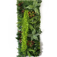 Mur Végétal Plantes