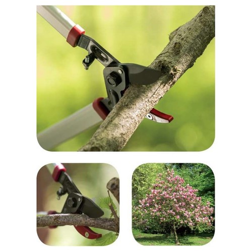 Coupe branche enclume lame - branche, à