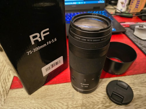 Objectif canon 300 - objectif, rf