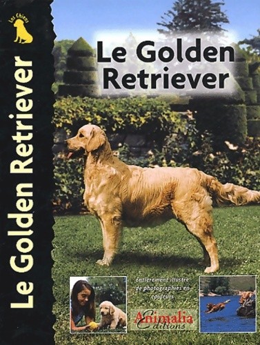 Golden retriever nona - le,