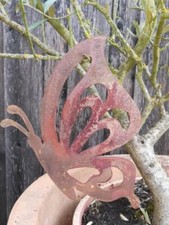Papillon inox Elke jardin