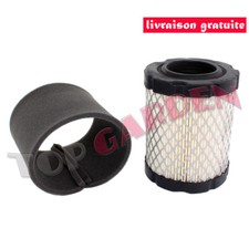 Filtre à air Pour Briggs &