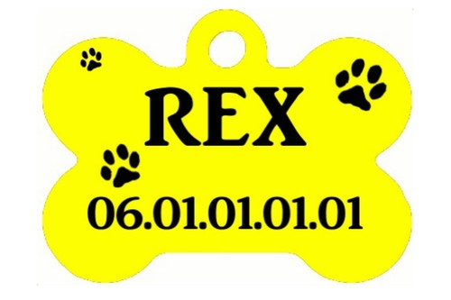 Medaille pour chien - medaille,