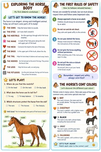 Exploring the horse body - horse,