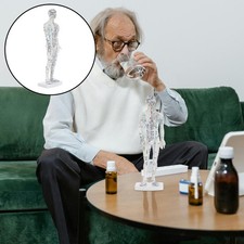  Modèle d'acupuncture du