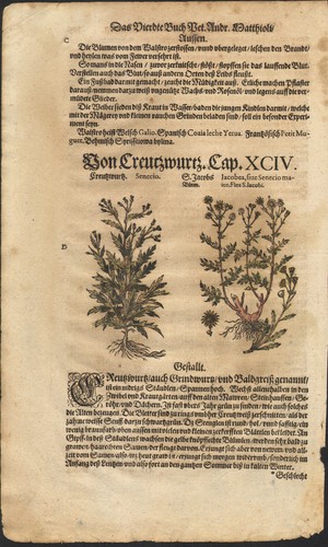 1590 planche gravure - planche,