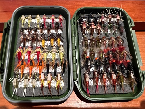 Collection nymphes en - collection, 72