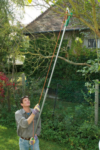 Coupe branche arbre jardin