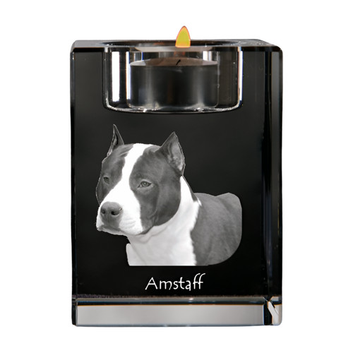 American staffordshire terrier - american,